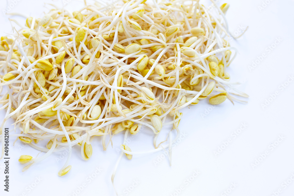 Fresh soybean sprouts for cooking.
