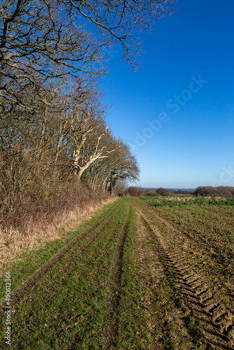 Sussex farmland in winter, with a blue sky overhead