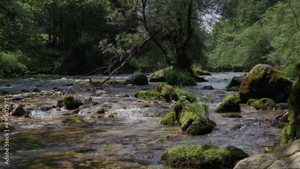 a river creek floating from the mountains a river creek floating from the mountains