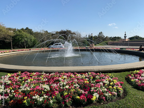 beautiful sunny day at a flower park in Curitiba