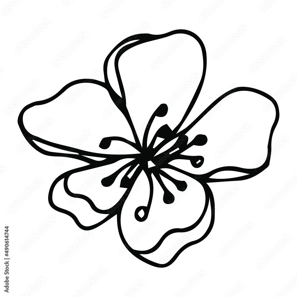 Flower art line. Sakura or Apple blossoms in vector isolated on white background. Spring flowers drawn in black and white line. Icon or symbol of spring and flowers.Doodle outline. Sketch. Flower art line. Sakura or Apple blossoms in vector isolated on white background. Spring flowers drawn in black and white line. Icon or symbol of spring and flowers.Doodle outline. Sketch.