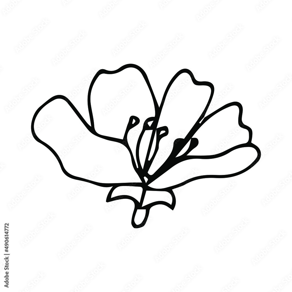 Obraz premium Flower art line. Sakura or Apple blossoms in vector isolated on white background. Spring flowers drawn in black and white line. Icon or symbol of spring and flowers.Doodle outline. Sketch.