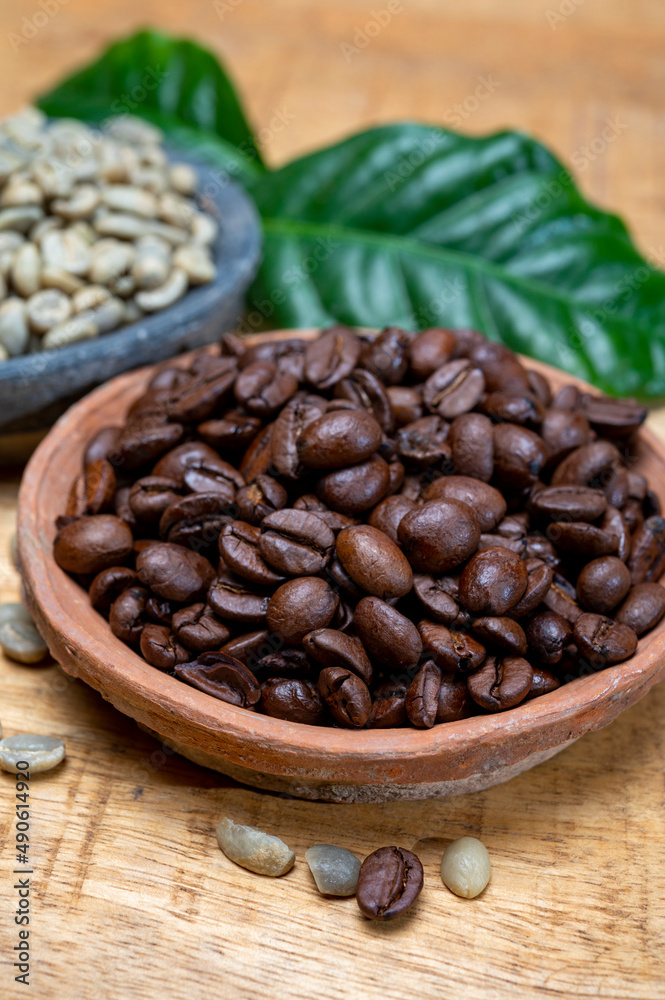 Fototapeta premium Green un-roasted and brown roasted coffee beans from Africa coffee producing region, cultivating in Ethiopia, Ivory Coast, Uganda, Kenya, Rwanda and Tanzania