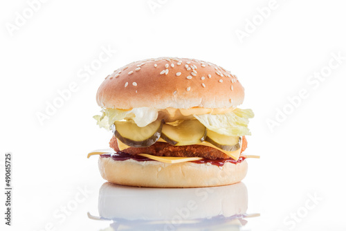 Burger on a light background