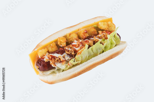 Hotdog on a light background
