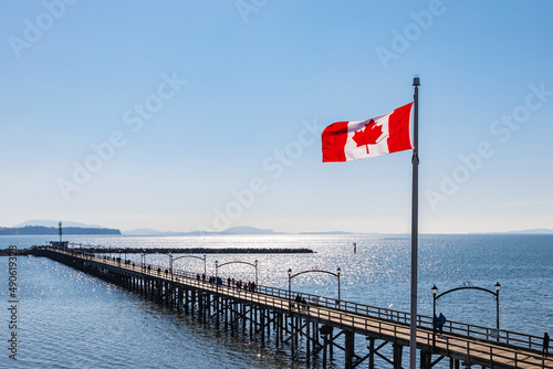 Canada national flag on blue sky. Wooden bridge and Canadian Flag by sea © Elena_Alex