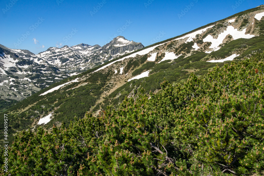 Landscape of Pirin Mountain near Popovo Lake, Bulgaria Landscape of Pirin Mountain near Popovo Lake, Bulgaria