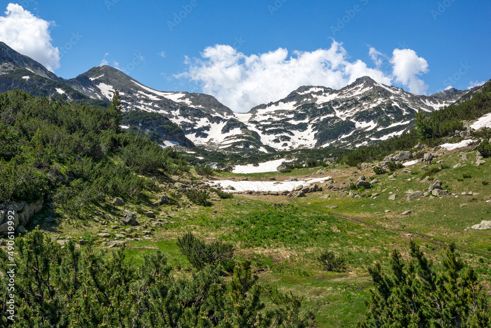Landscape of Pirin Mountain near Popovo Lake, Bulgaria