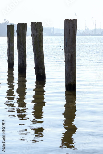 Wooden piles for the ships for mooring in the port of Travemunde in Lubeck on the Baltic Sea, Germany, Europe, copy space