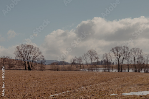 Early spring on a field with silhouetted trees. Countryside neutral landscape