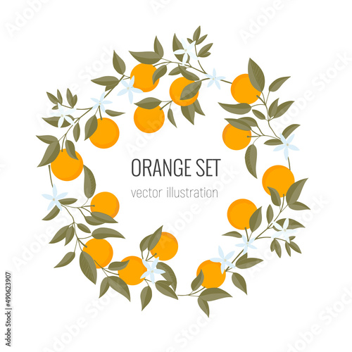 Isolated wreath frame of hand drawn Oranges branch. Floral print. Sketch Exotic tropical citrus fresh fruit, tangerine with leaves and flowers. Vector cartoon minimalistic style illustration. Pattern 