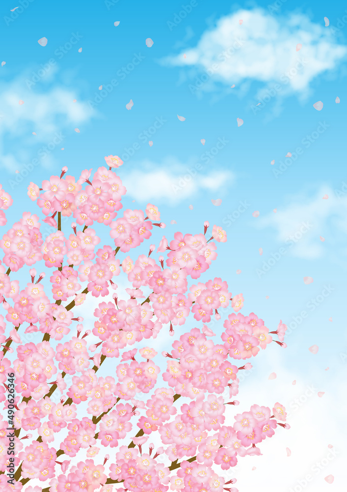Fototapeta premium 満開の桜の花と青空の春らしいベクター素材