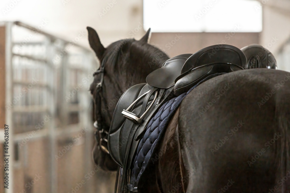 Focus on an english saddle on a black horse. The horse stands in a barn