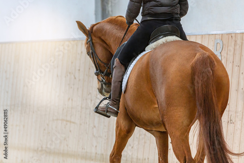 Dressage training: A rider on a chestnut warmblood horse in a riding hall