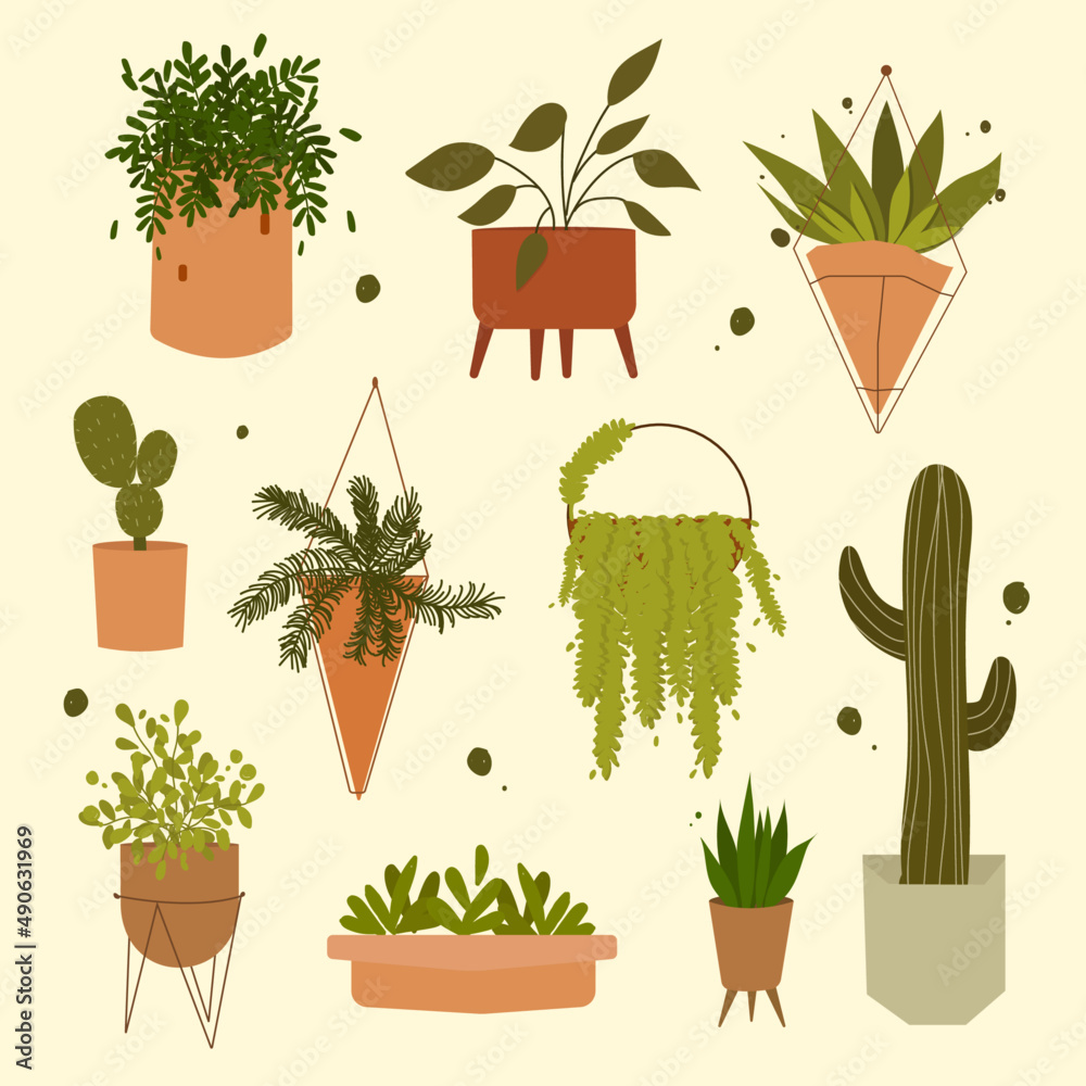 Plantas, cactus, macetas, hojas, ilustración de macetas, floreros, plantas de decoración