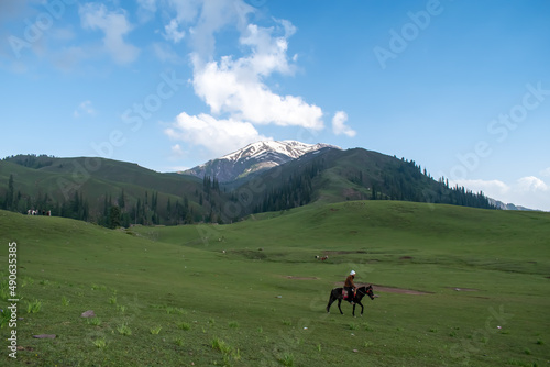 horse on the mountain © Axotech