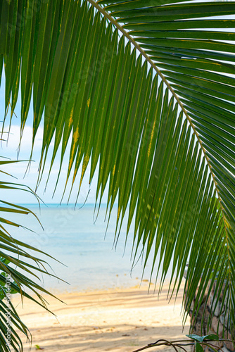 Fototapeta Naklejka Na Ścianę i Meble -  Close up palm leaves on the sandy beach. Sea on the background.