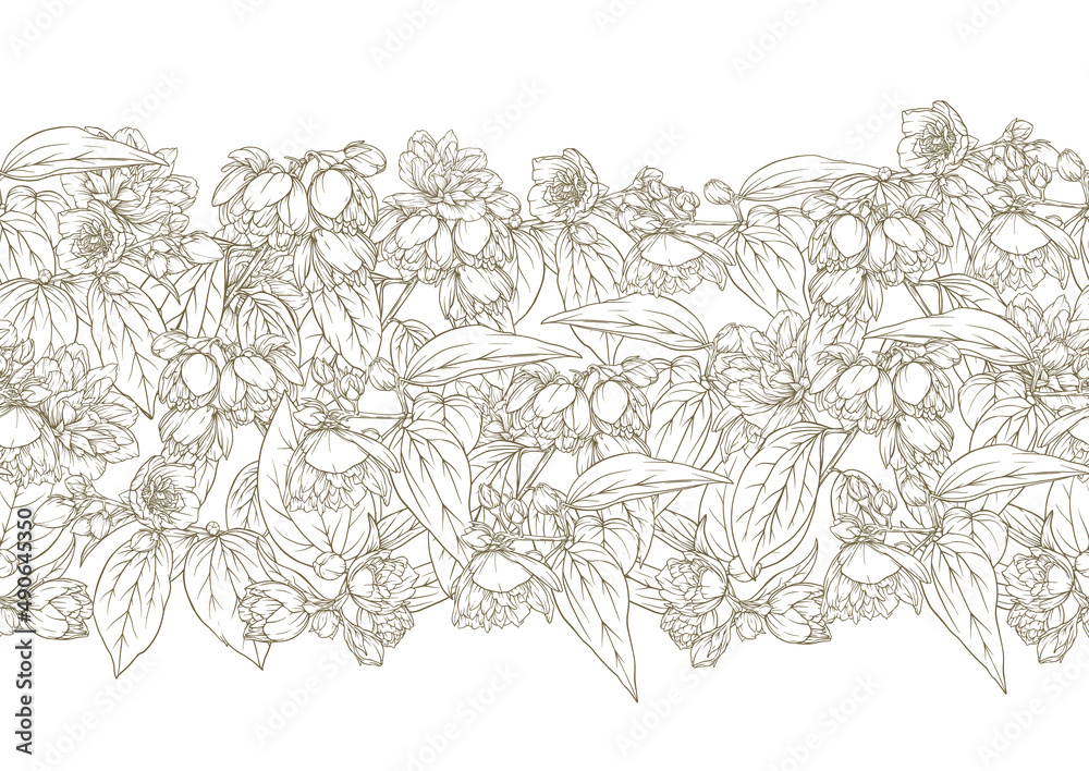 Fototapeta premium Jasmine Seamless pattern, background. Vector illustration. In botanical style on white background.