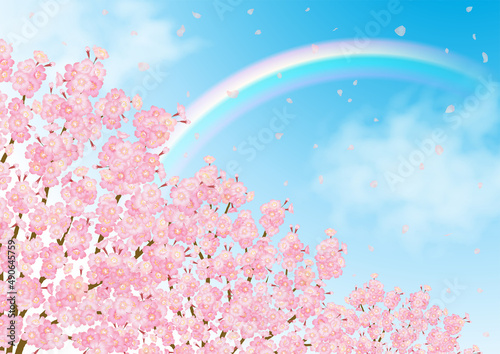 桜と青空にかかる虹のベクター素材