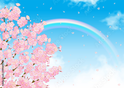 桜と青空にかかる虹のベクター素材