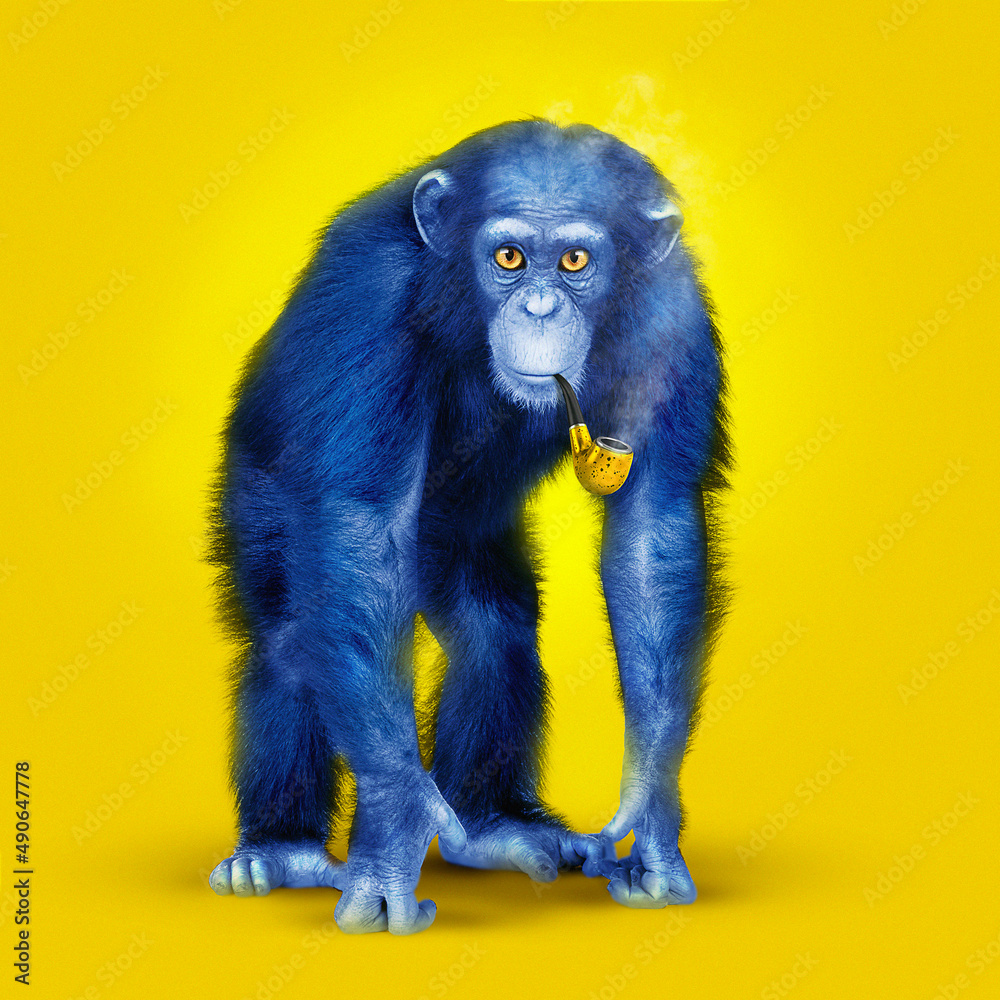 Fototapeta premium Blue monkey on a yellow background, smoking a pipe