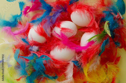 Easter white chicken eggs in multicolored feathers on the table top view. Easter flat lay, background