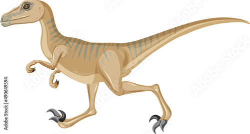 Velociraptor dinosaur on white background