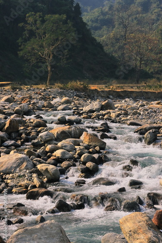 himalayan foothills and scenic landscape of terai region, india photo