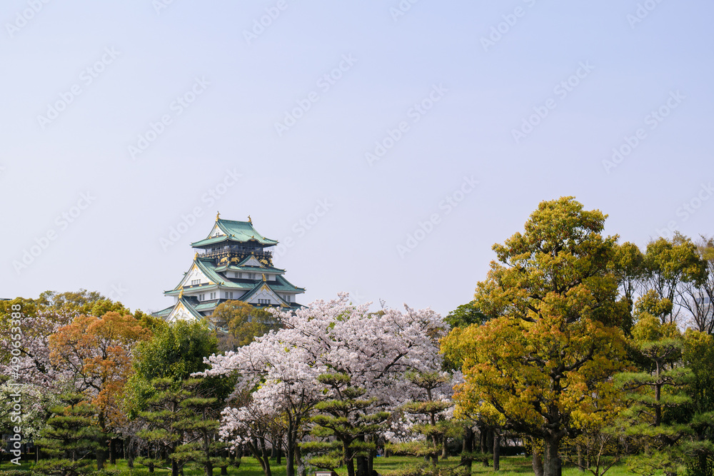 Fototapeta 大阪城公園の春