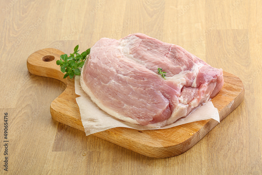 Piece of the raw pork meat