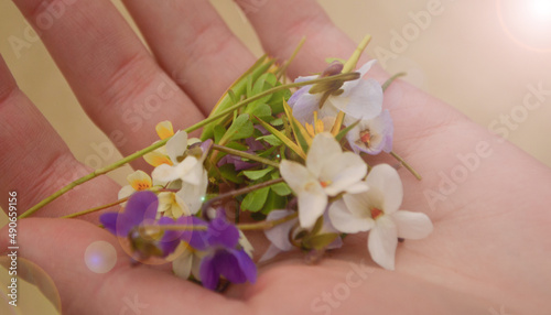 Tiny bouquet of colorful flowers