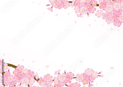 満開の桜の花のベクターフレーム素材