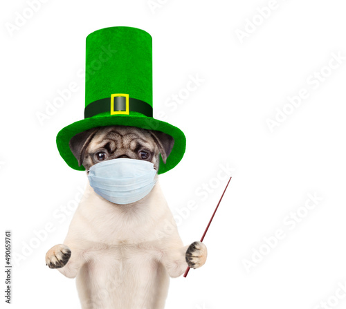 St Patrick's Day during lockdown concept. Funny puppy wearing protective face mask and green cylinder of the leprechaun points away on empty space. isolated on white background photo