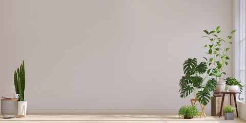 Variety of easy care and air purify indoor tropical house plants in white wall room with sunlight from window casting shadow on wood floor. 3D render for home garden interior decoration background.
