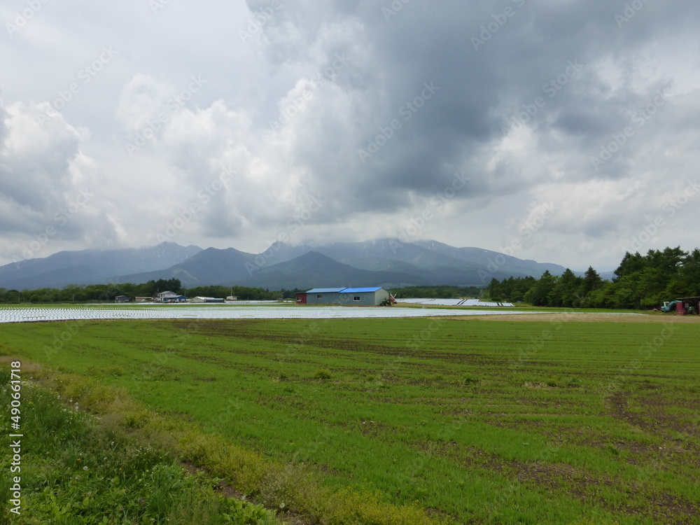 曇天の野辺山高原・夏(長野県南牧村) 曇天の野辺山高原・夏(長野県南牧村)