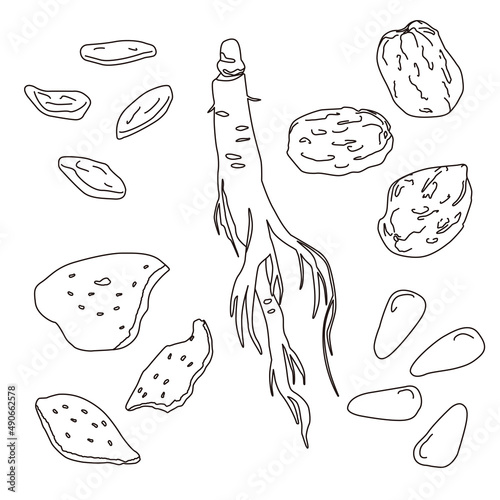 Various medicinal foods. These are pine nuts, mandarin orange peels, jujubes, ginseng, and Wolfberry.