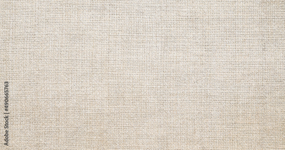 Fototapeta premium Natural leather structure material abstract texture background