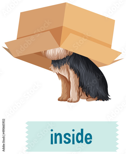 Preposition wordcard with dog inside box photo