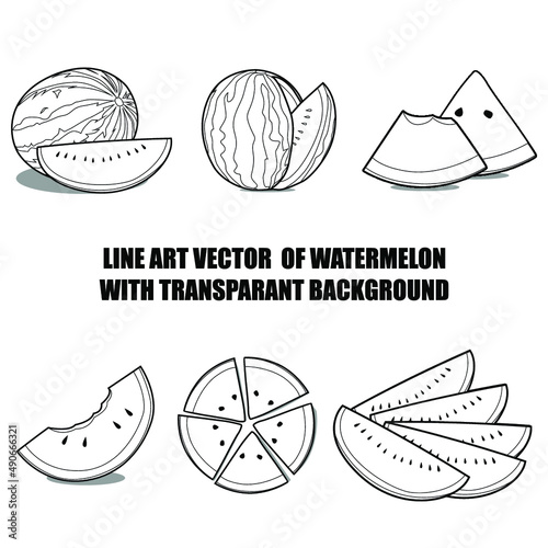 Watermelon line art vector illustration suitable for children's coloring books, posters, brochures about fruits and vegetables