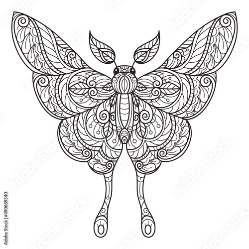 Butterfly beautiful hand drawn for adult coloring book