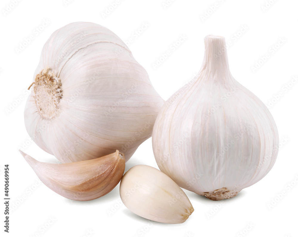 Fototapeta premium garlic isolated on white background with cutting path.