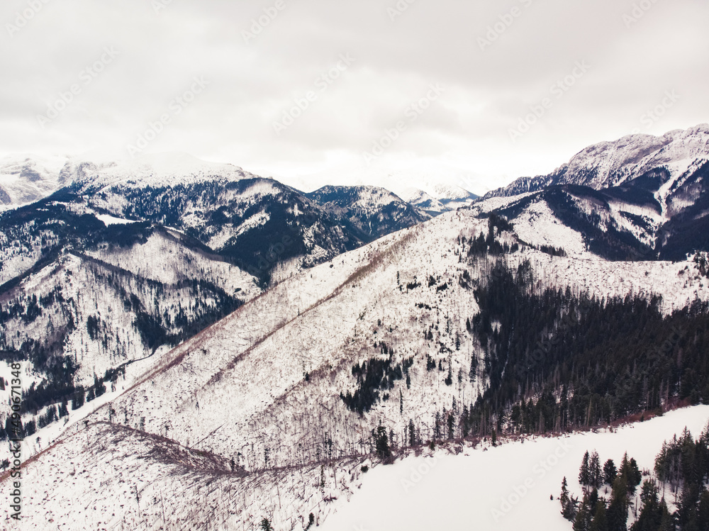 Stunning aerial view of snowy mountains. Cool tones. High quality photo