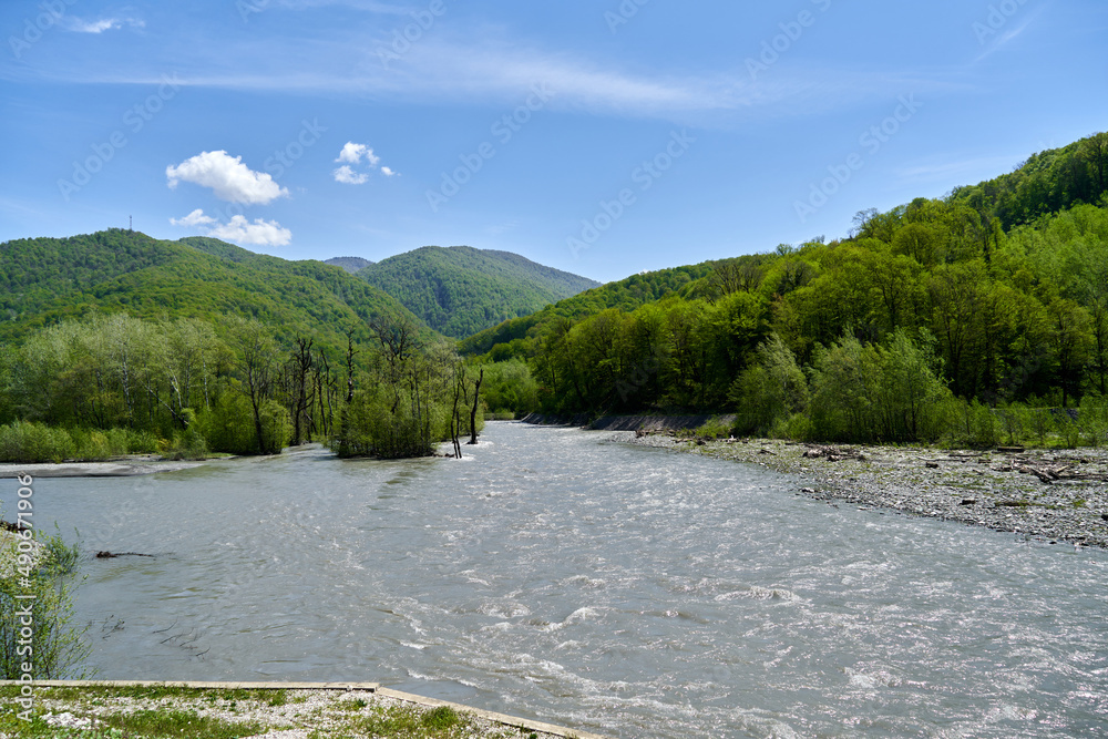 Mountain summer landscape, blue sky, river and green forest, sochi russia