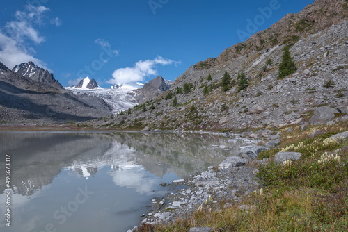glacier mountains lake flowers reflection summer