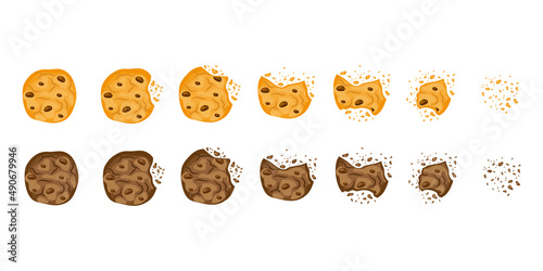 Set with bitten chocolate cookies  vector