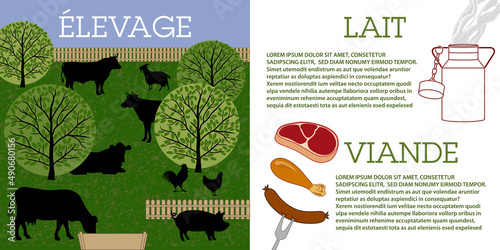 Mise en page sur le thème de l’élevage en plein air de vache et de chèvre pour leur lait et de bœuf, poulet et cochon pour leur viande - texte français, traduction : élevage, lait, viande.