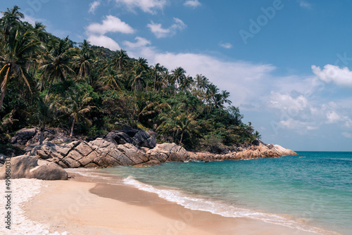 Beautiful wild sandy beach with palm trees and clear turquoise water