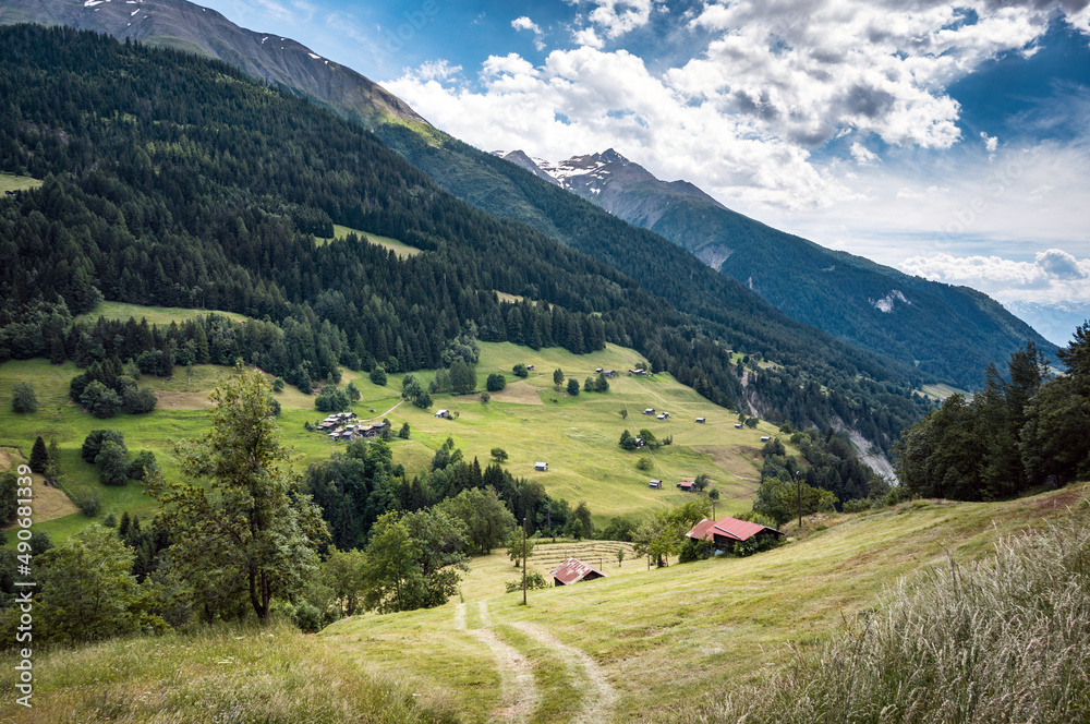 Pâturages dans une vallée des Alpes suisse en bordure de forêt