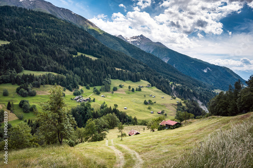 P  turages dans une vall  e des Alpes suisse en bordure de for  t