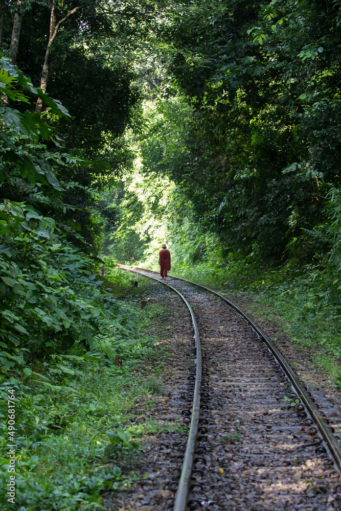 Fototapeta premium person in the forest railroads